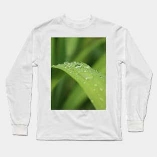 Grass leaf with focus on one rain drop Long Sleeve T-Shirt